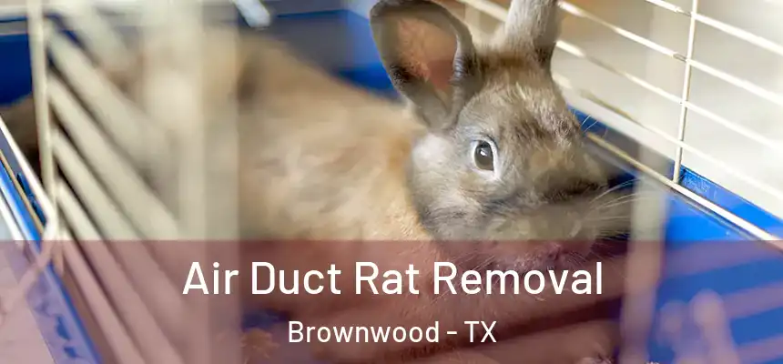  Air Duct Rat Removal Brownwood - TX