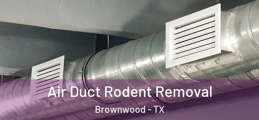 Air Duct Rodent Removal Brownwood - TX