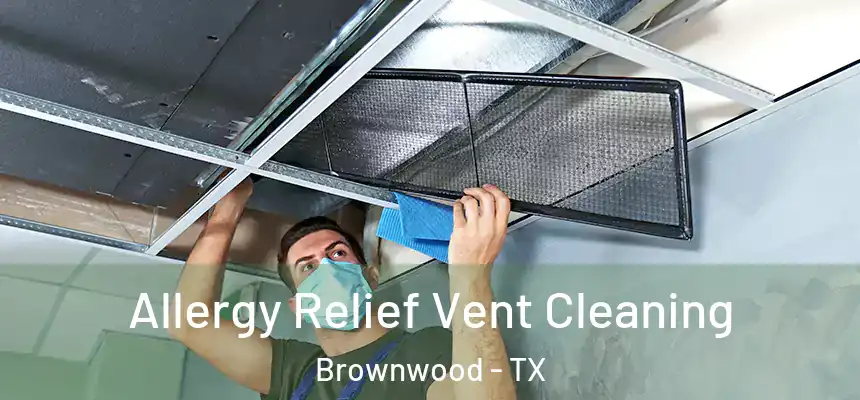  Allergy Relief Vent Cleaning Brownwood - TX