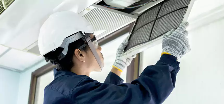 Our Mold & Mildew Removal from Air Ducts Services in Brownwood, TX