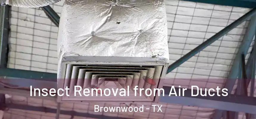 Insect Removal from Air Ducts Brownwood - TX
