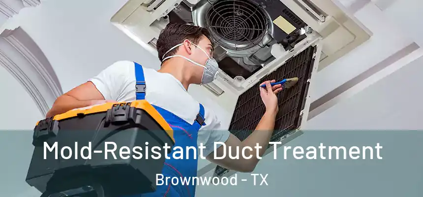  Mold-Resistant Duct Treatment Brownwood - TX