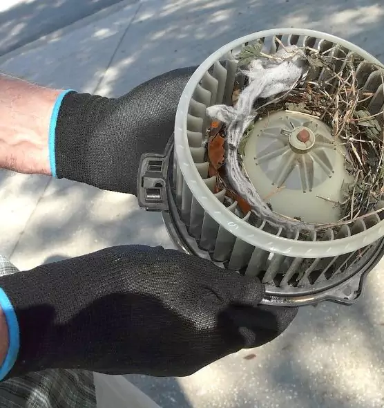 About Air Duct Mice Removal in Brownwood, TX