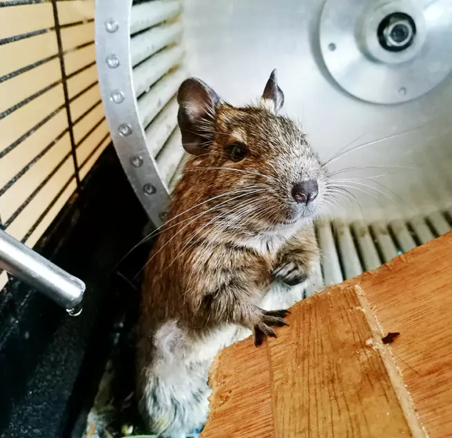 Why Homeowners & Businesses Trust Us Brownwood, TX?